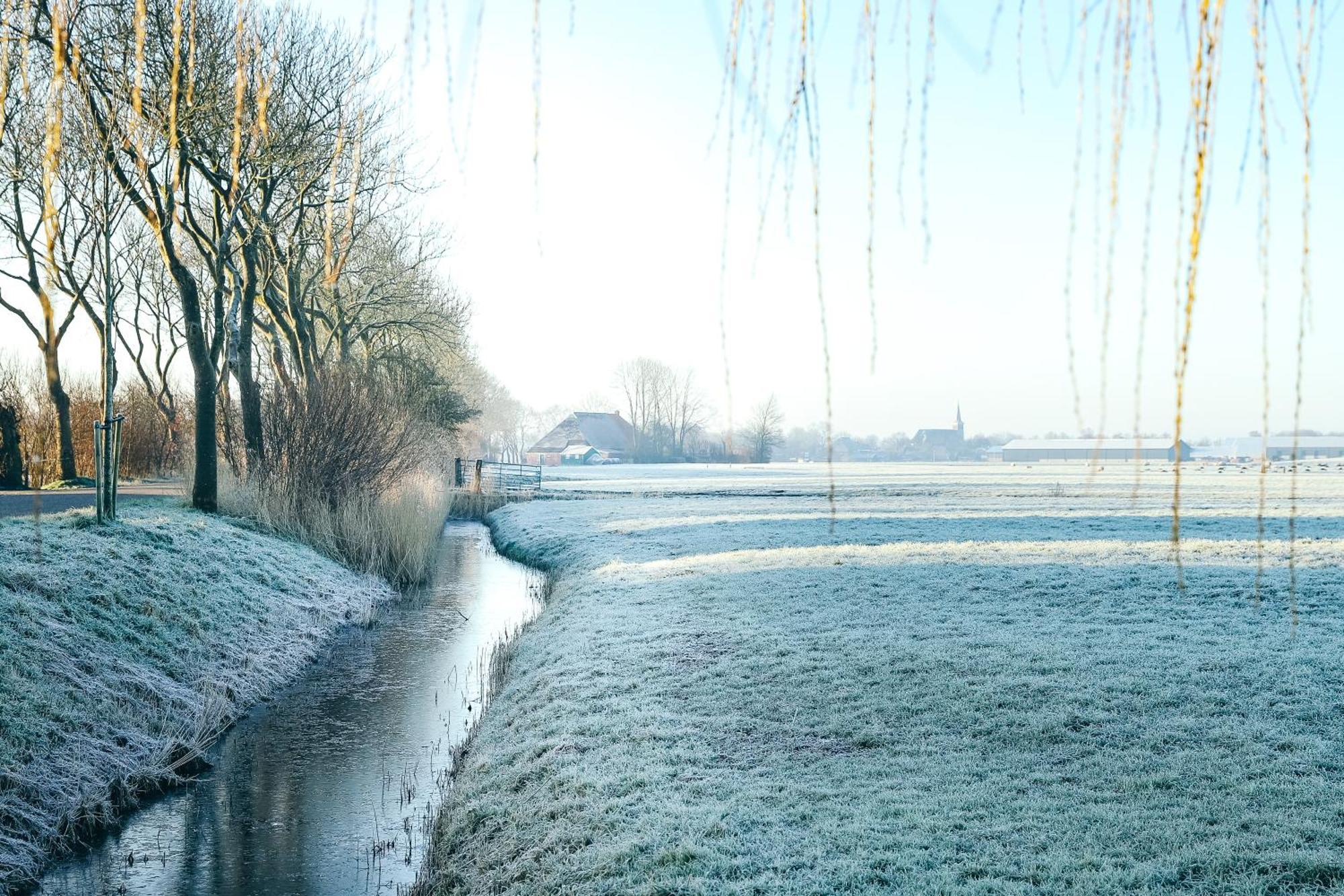 Cynnewille Ee Extérieur photo